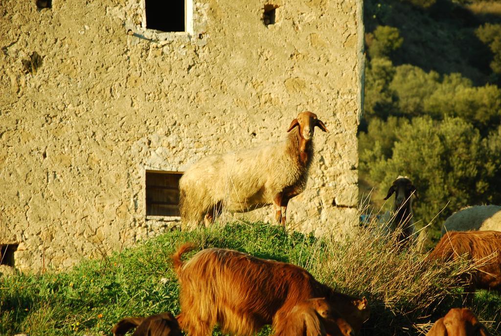 فندق Experience Il Paesino Licodia Eubea المظهر الخارجي الصورة