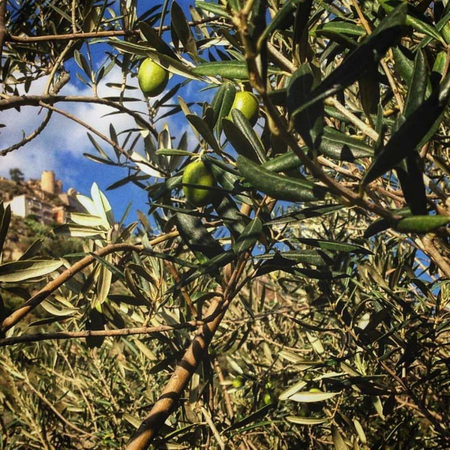 فندق Experience Il Paesino Licodia Eubea المظهر الخارجي الصورة